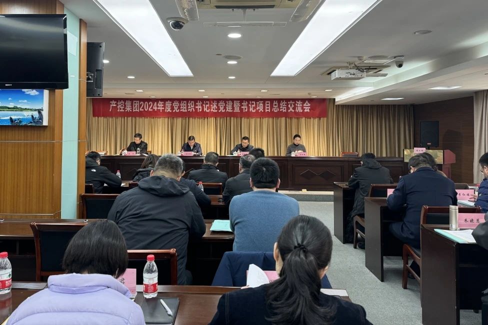 產(chǎn)控集團召開2024年度黨組織書記述黨建暨書記項目...